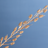 Dried golden litchi bunch 