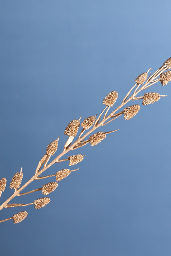 Dried golden litchi bunch 