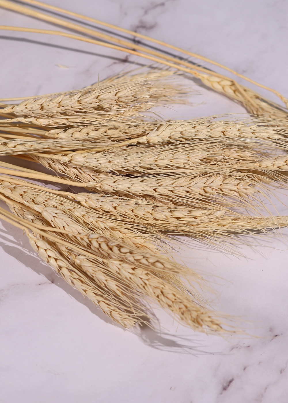 Natural wheat bunch on surface