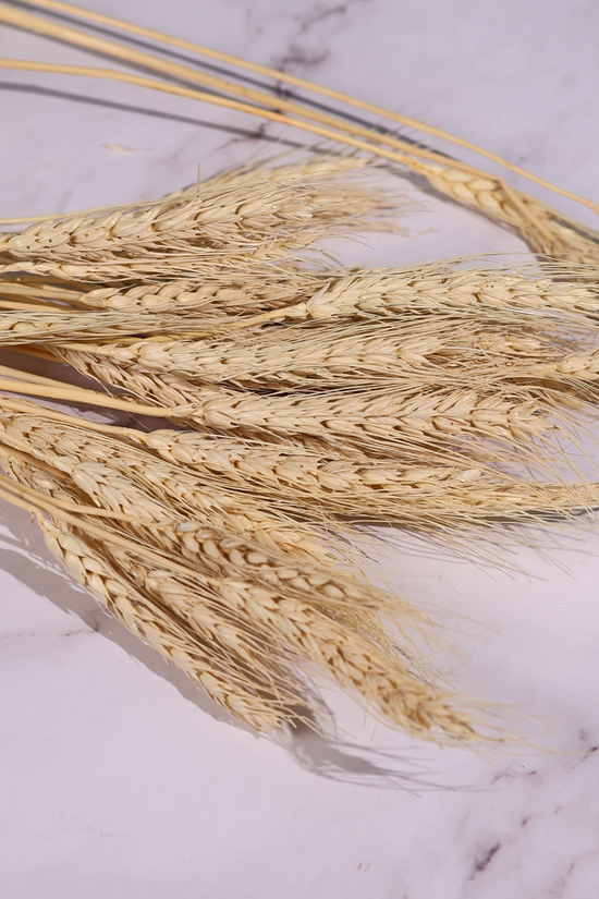 Natural wheat bunch on surface