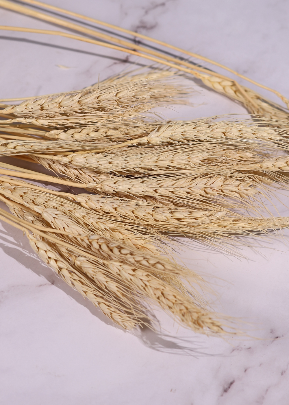 Dried Natural Wheat - Bunch