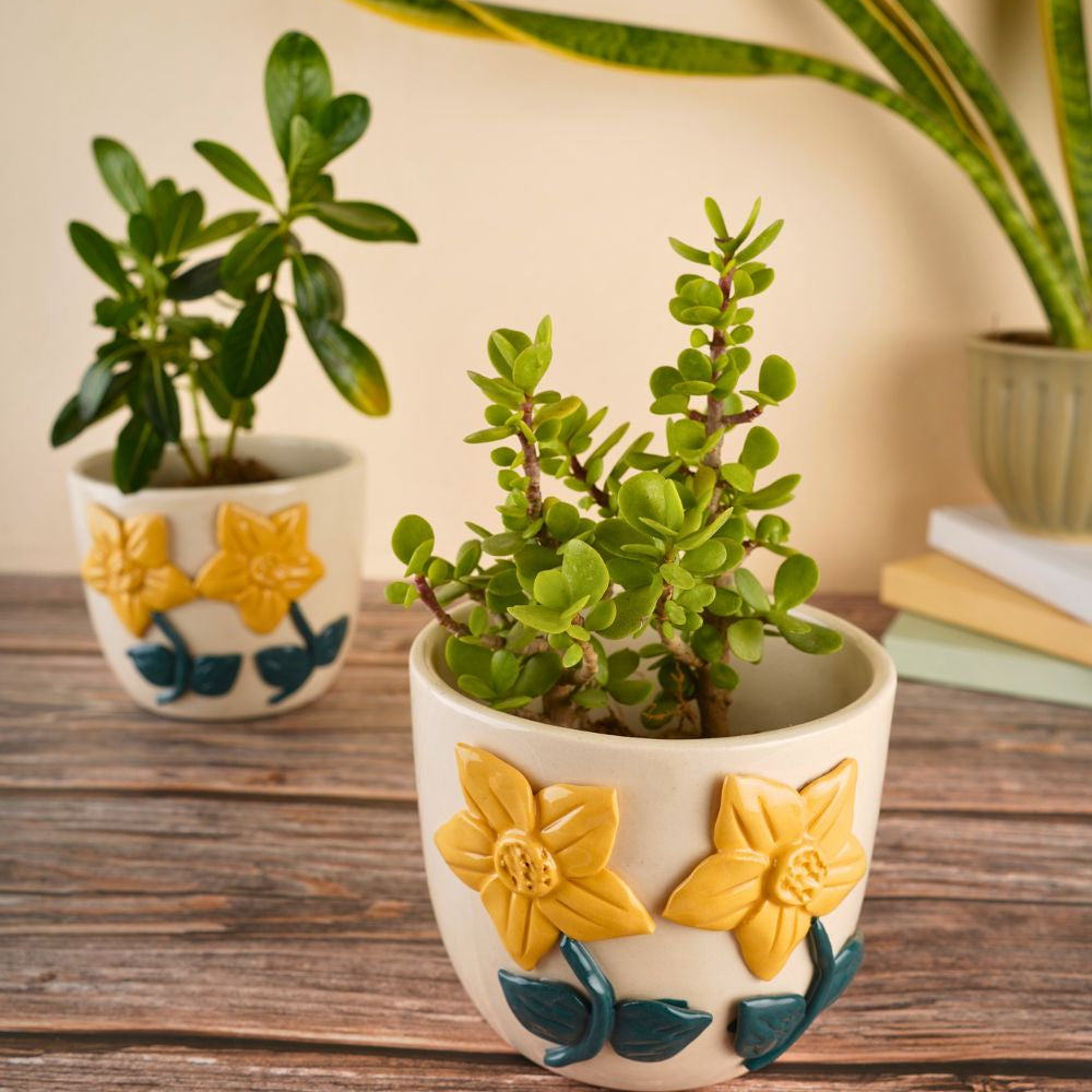 daisy bloom planter made by ceramic 