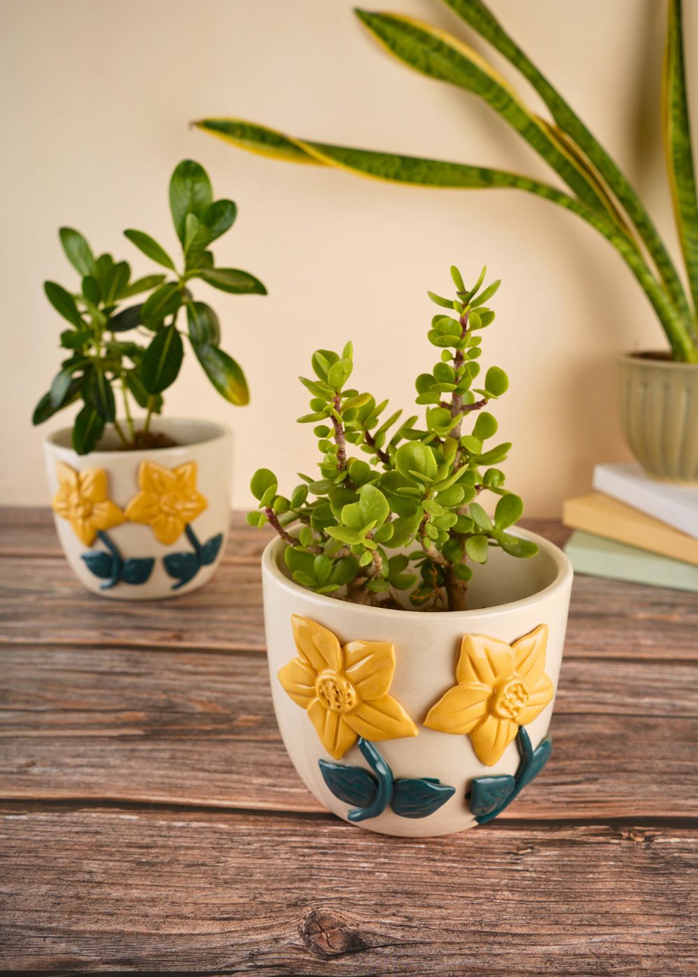 daisy bloom planter made by ceramic 
