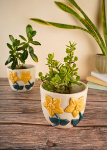 daisy bloom planter made by ceramic 