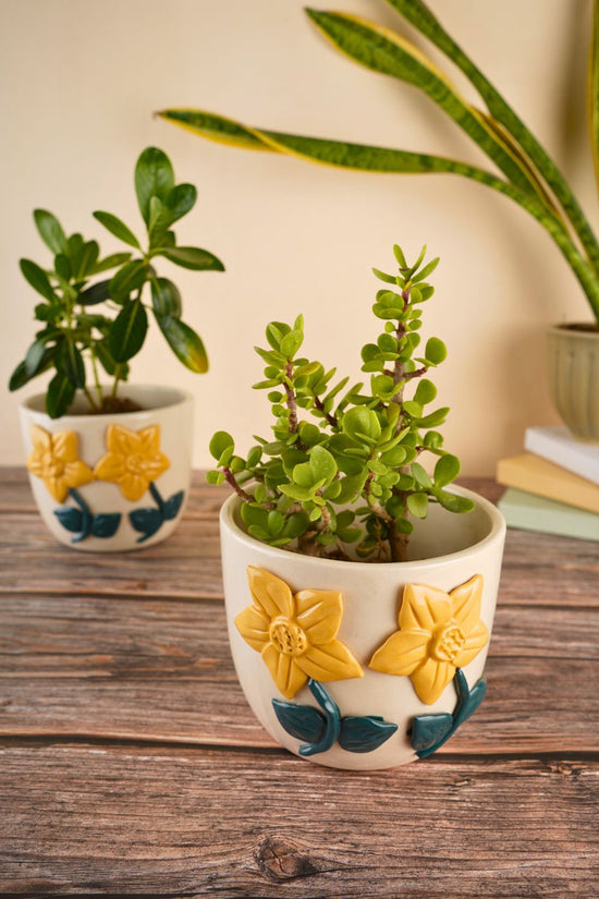 daisy bloom planter made by ceramic 
