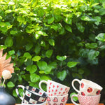 Set of 6 Heart & Polka Mugs (for the price of 5) handmade in india