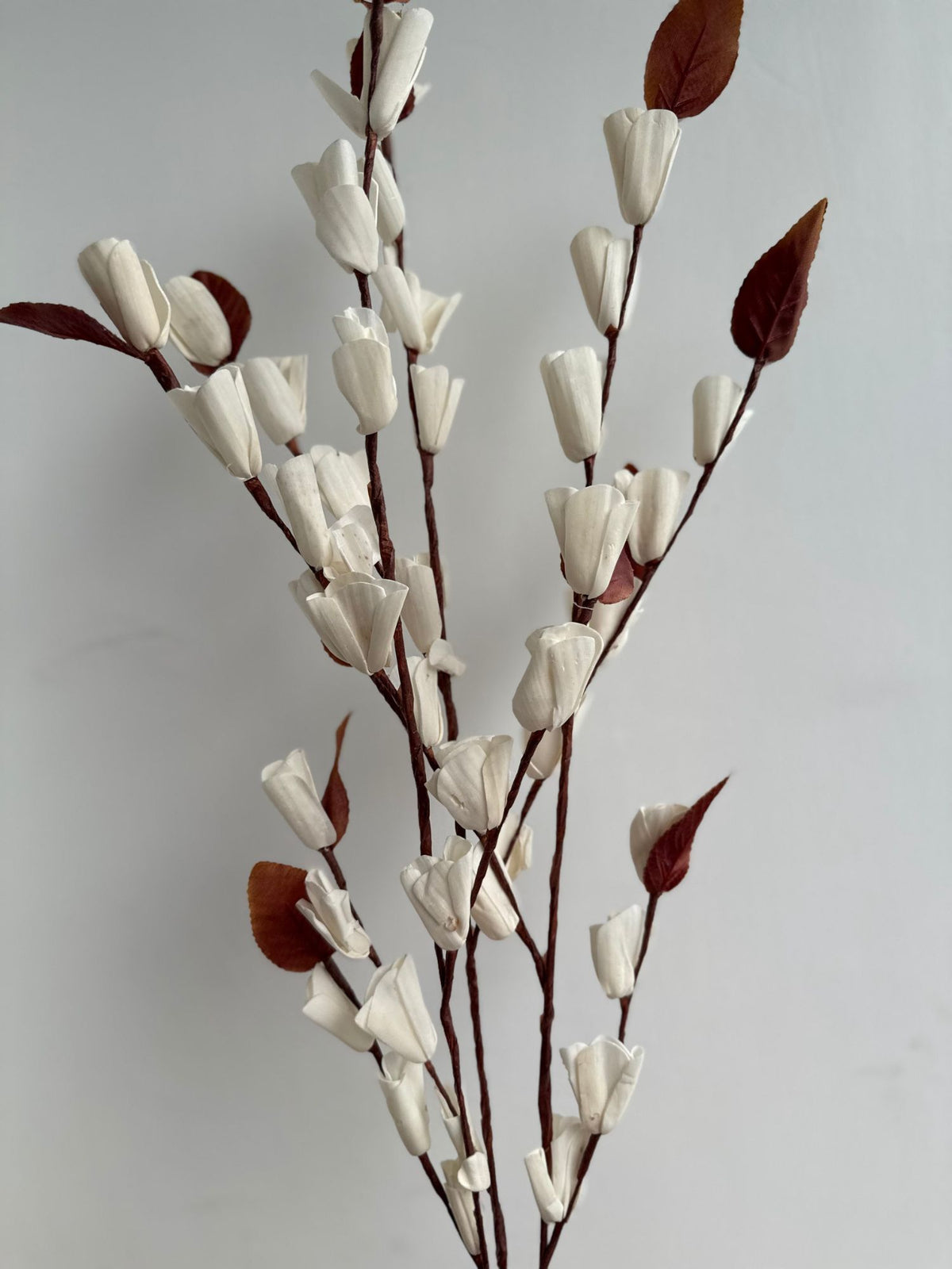 Ivory Whispers Blossom Bunch for your home decor