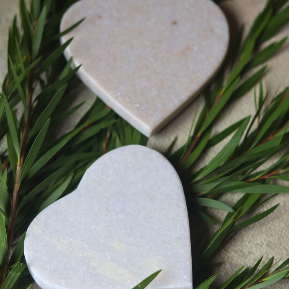 White marble heart coasters on plant