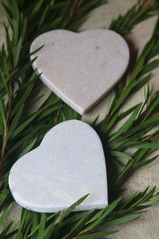 White marble heart coasters on plant