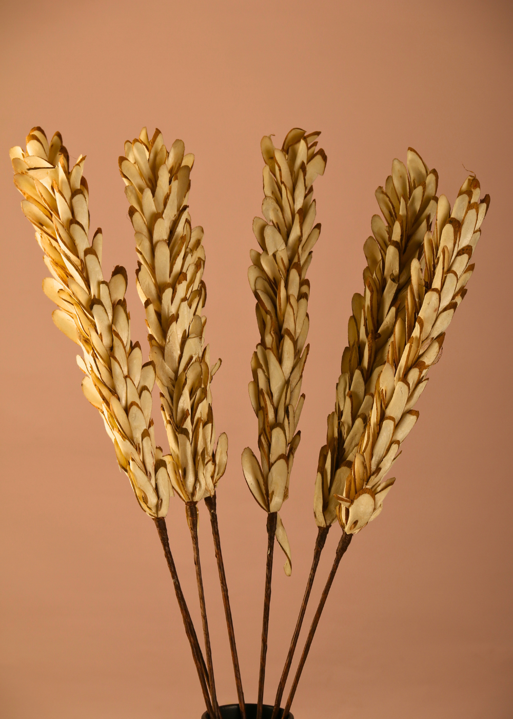 Dried almond leaf bunch 