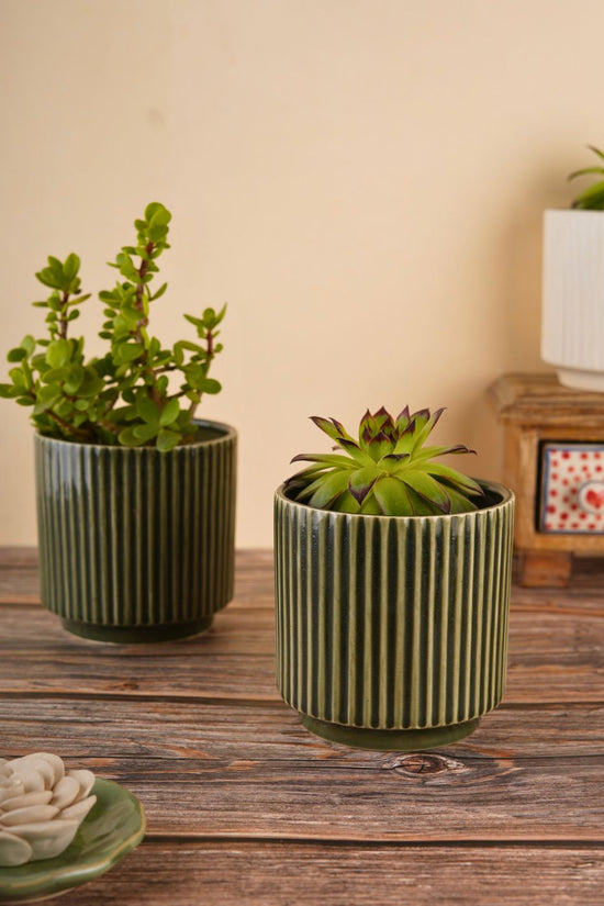 handmade ribbed olive green planter
