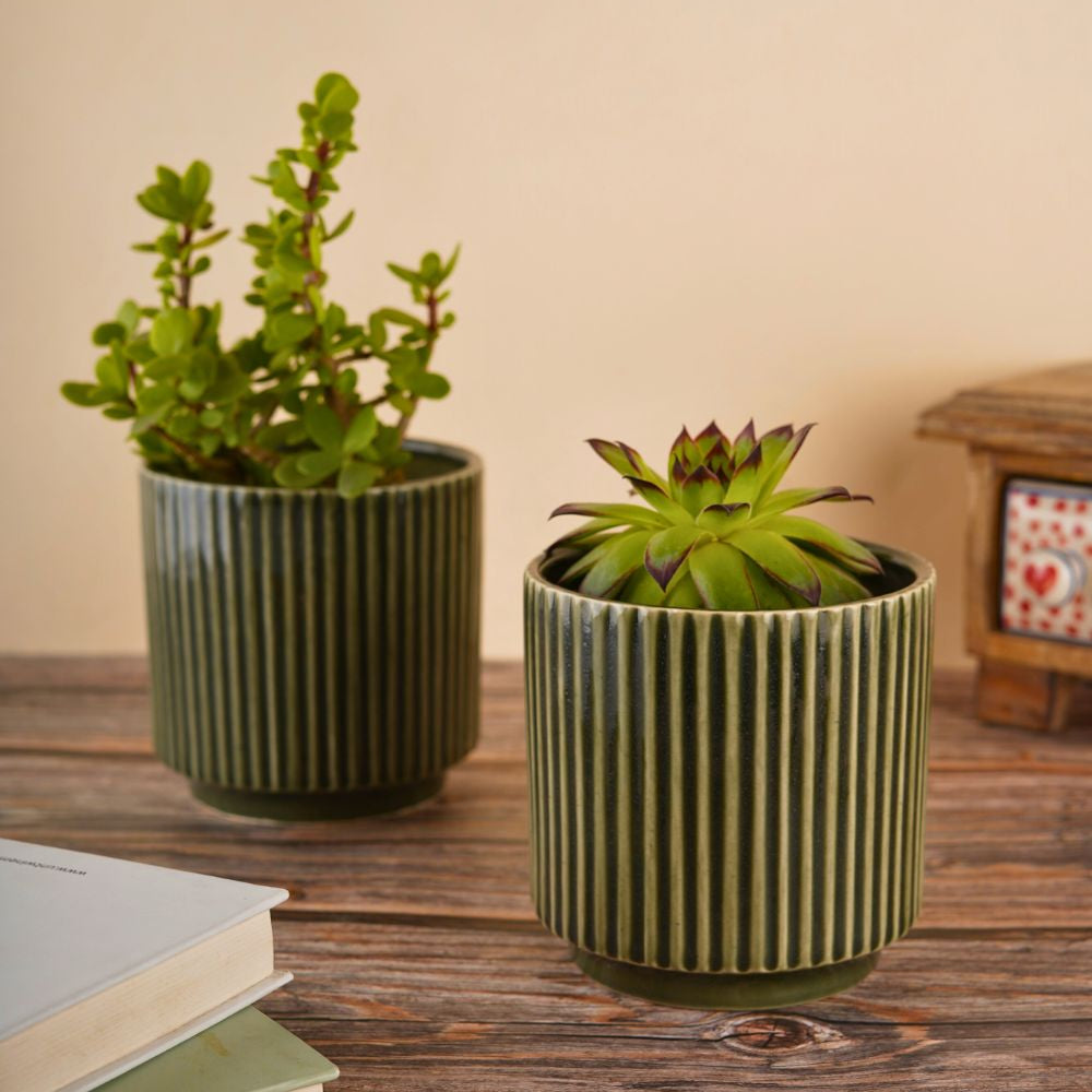 ribbed olive green planter handmade in india]