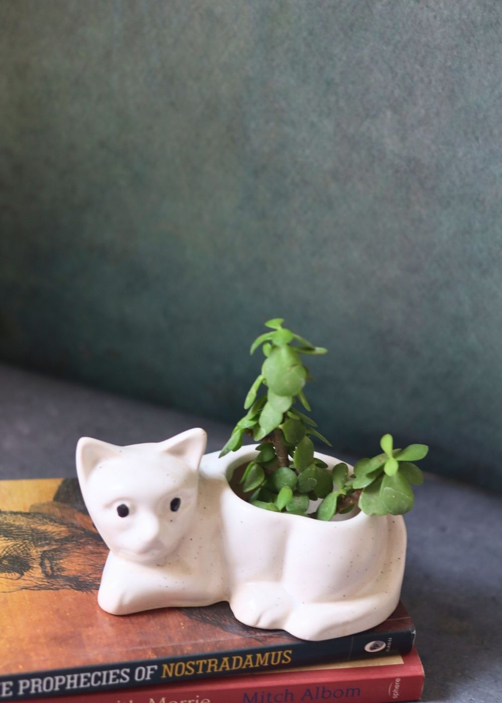 cat succulent planter made by ceramic 