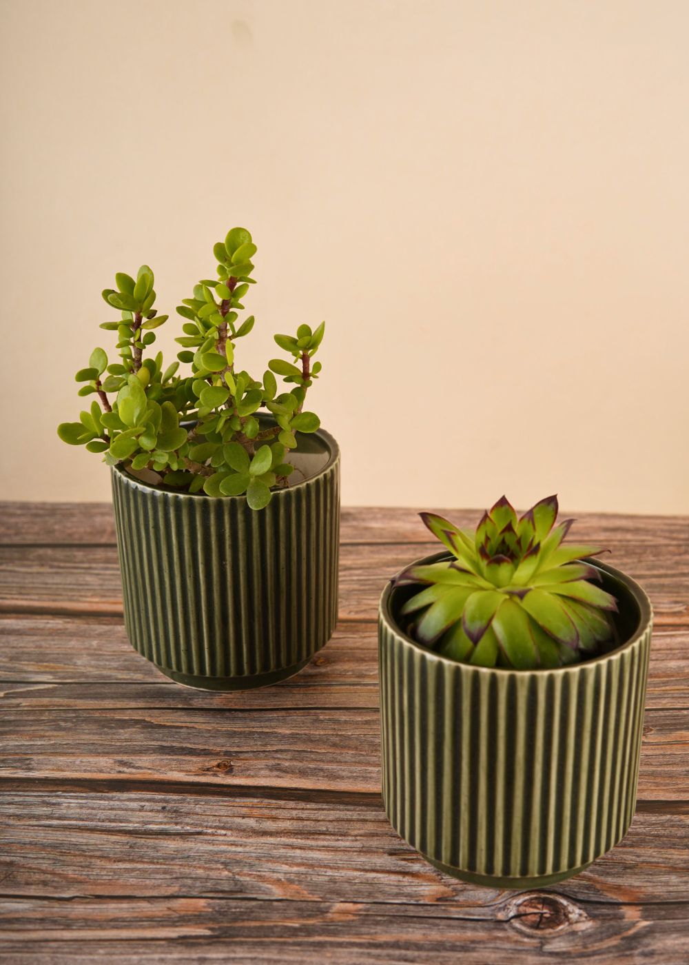 ribbed olive green planter made by ceramic 