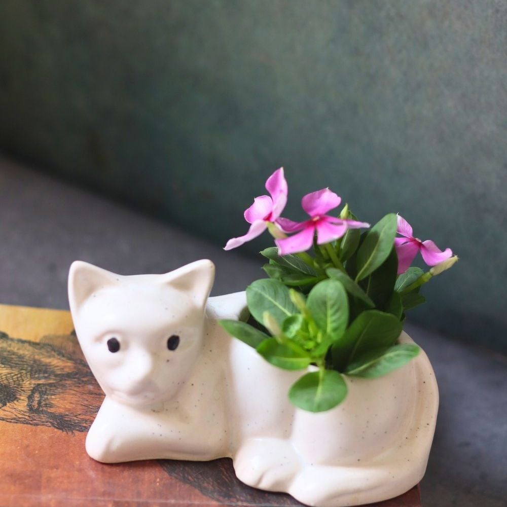 Handmade cat succulent planter