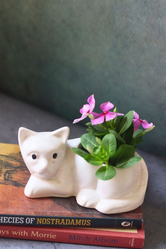 Handmade cat succulent planter