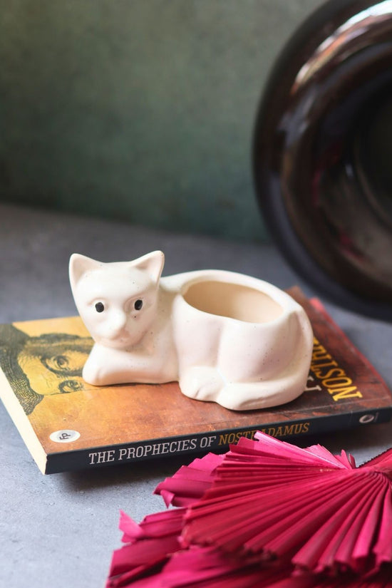 cat succulent planter handmade in india 