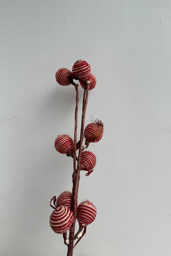 Crimson Spiral Berry Bunch for your home decor