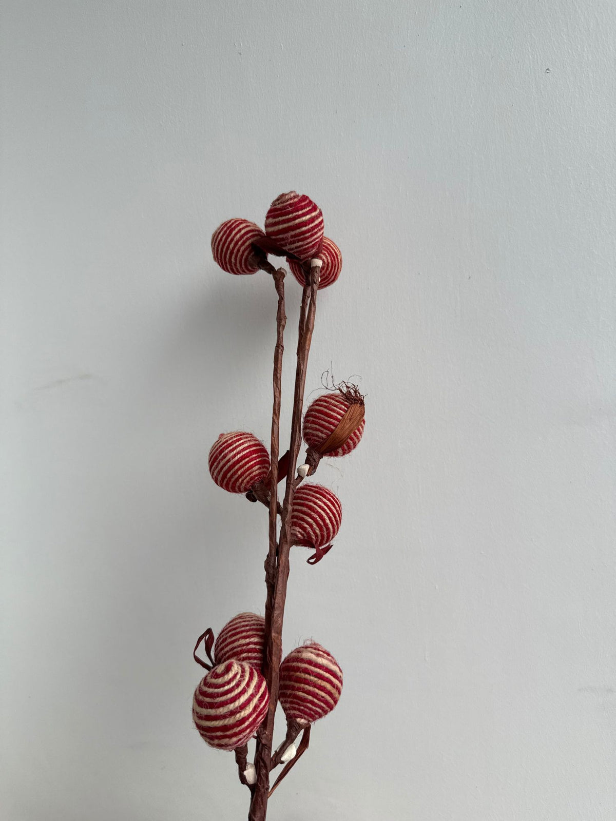 Crimson Spiral Berry Bunch for your home decor
