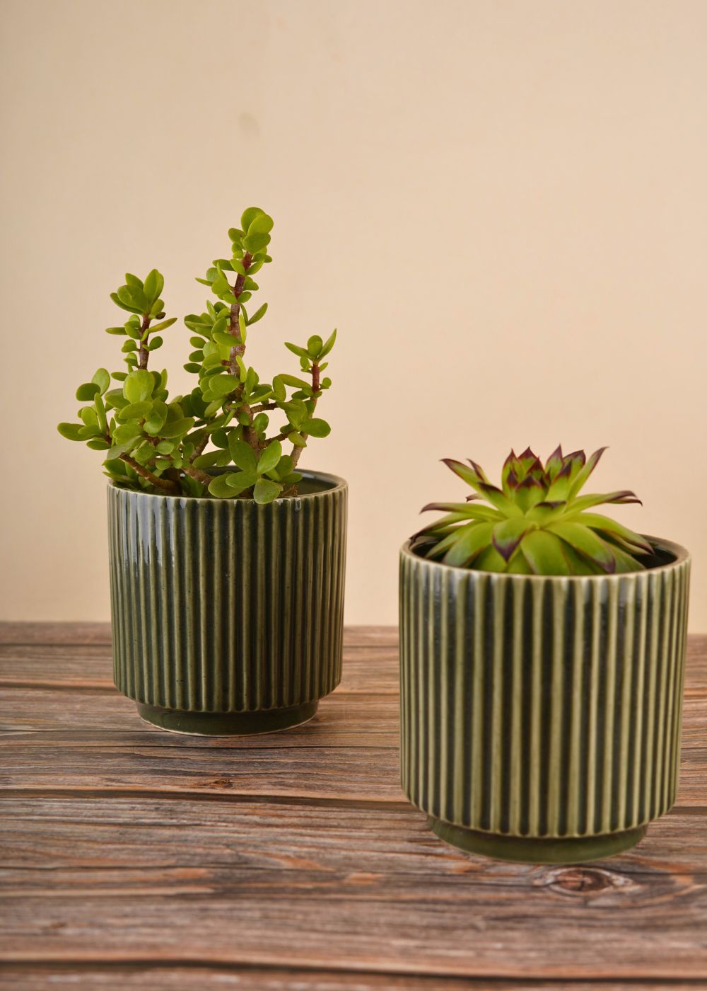 ribbed olive green planter with green color
