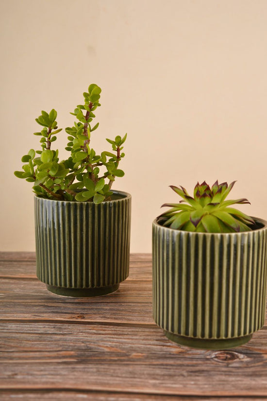 ribbed olive green planter with green color