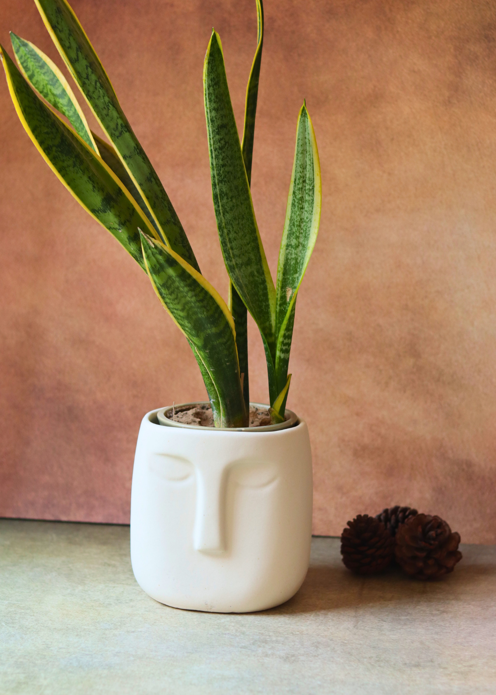 White nordic face planter 