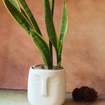 planter, ceramic planter, handmade planter