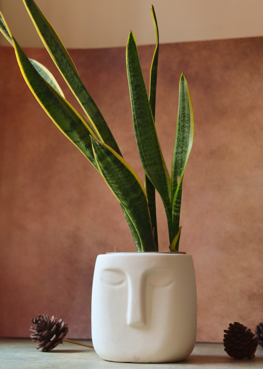 Handmade ceramic white face planter 