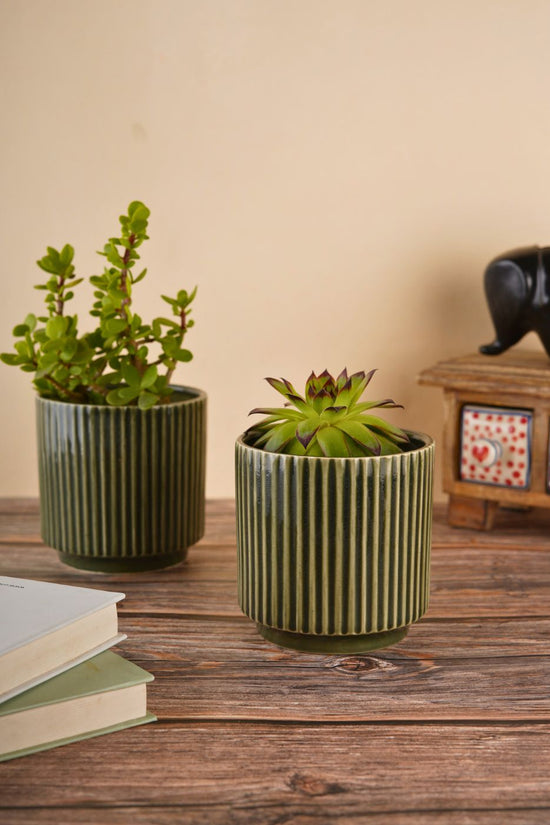 ribbed olive green planter for your beautiful space