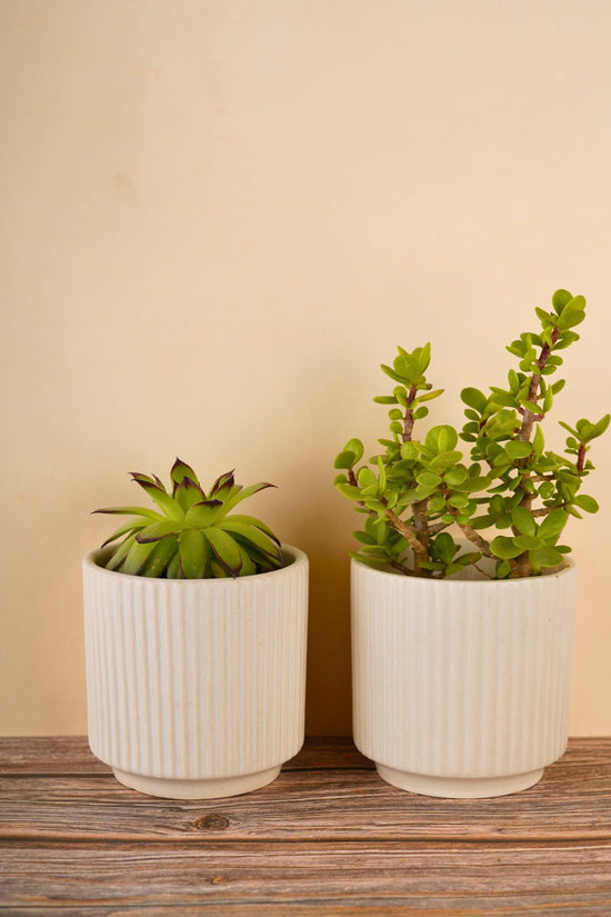 handmade ribbed white planter 