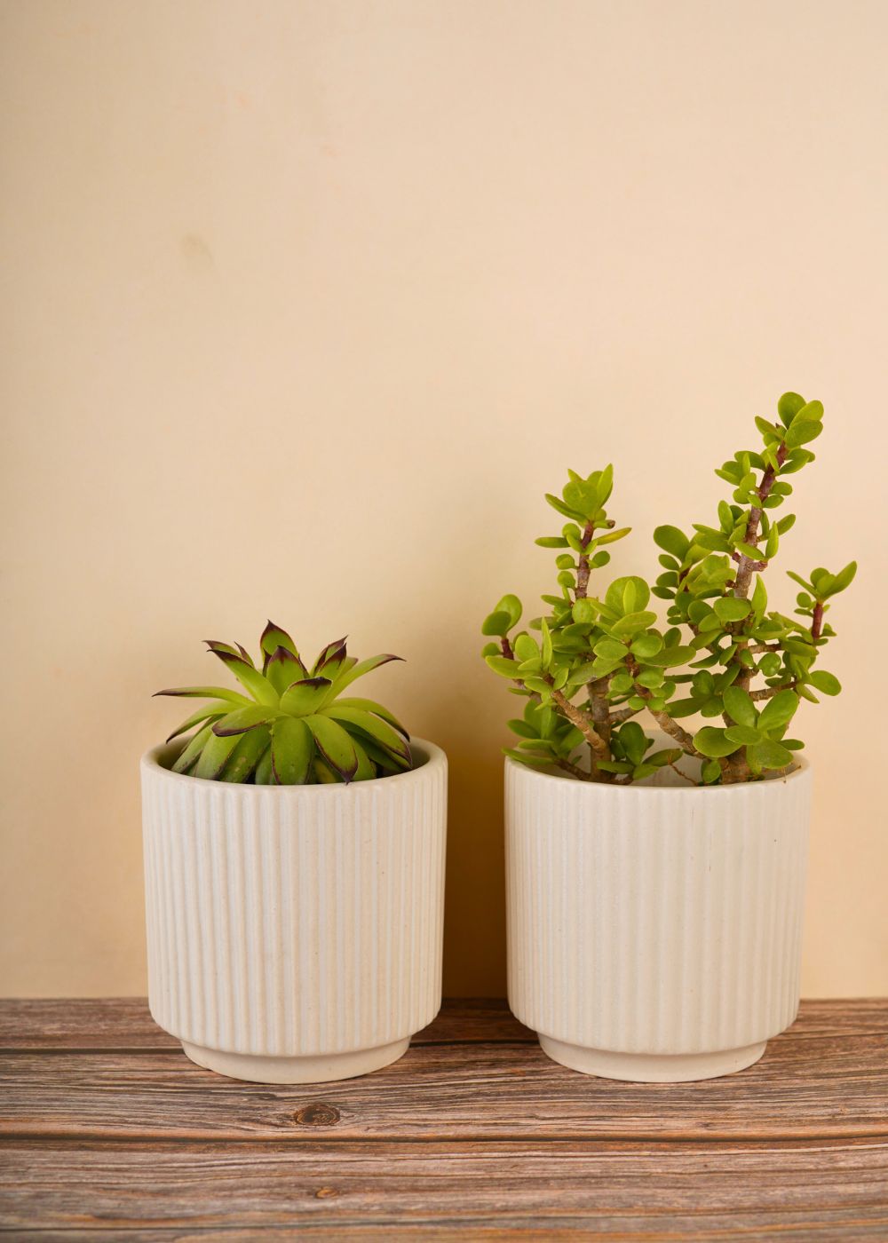 handmade ribbed white planter 