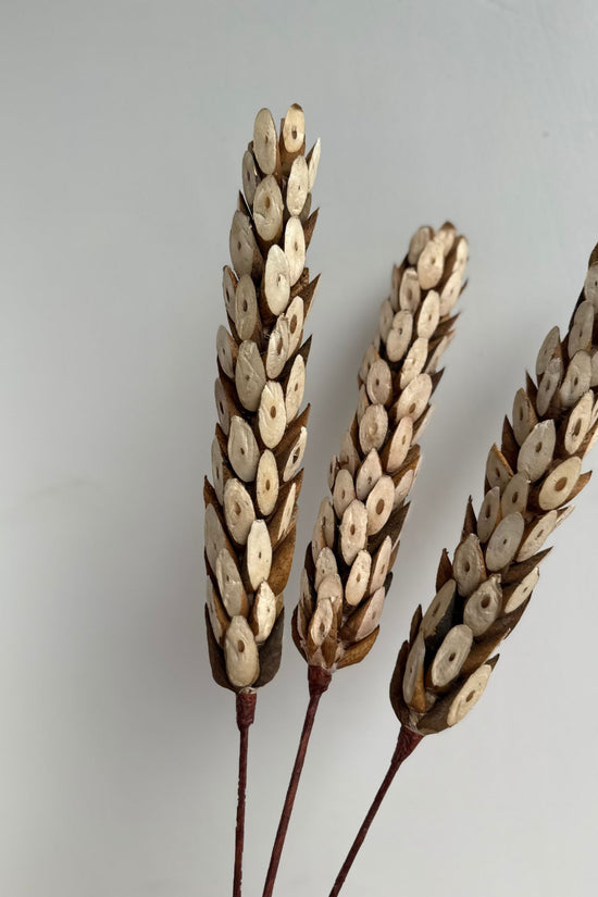 Natural Dried Artisanal Bunch