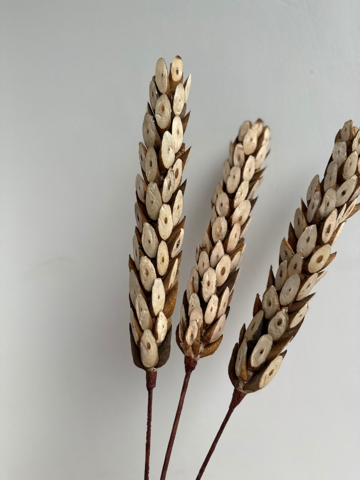Natural Dried Artisanal Bunch