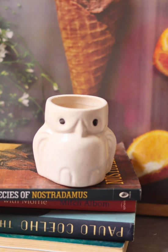 owl planter handmade in india 