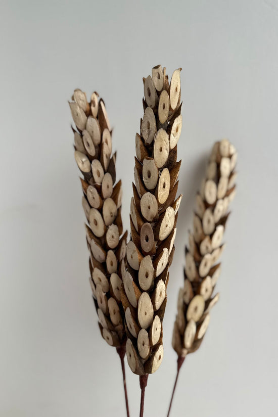Natural Dried Artisanal Bunch