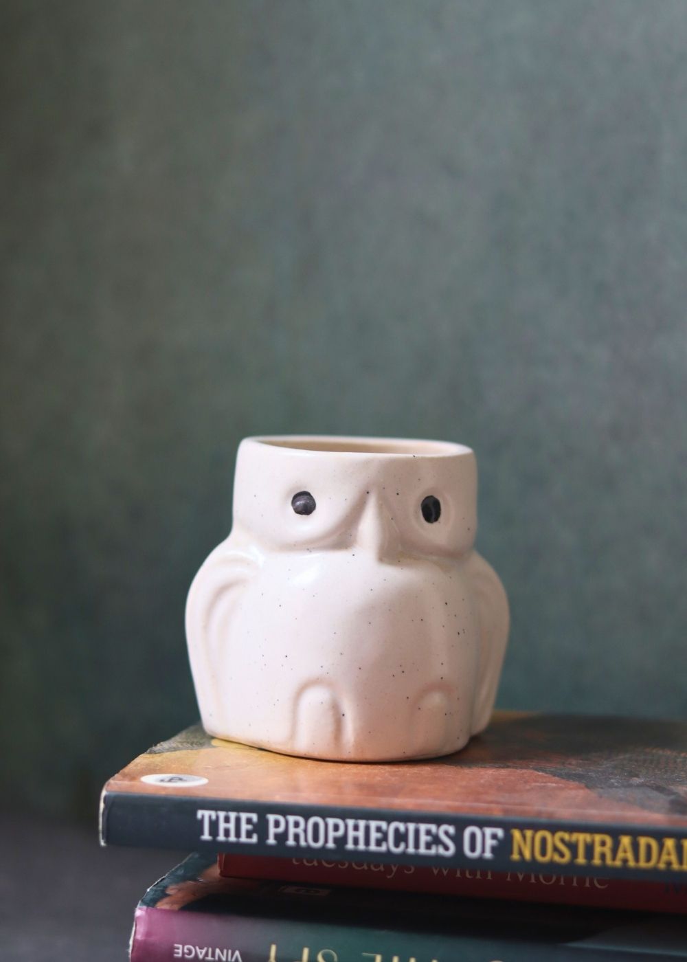 owl planter made by ceramic 