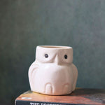 owl planter made by ceramic 