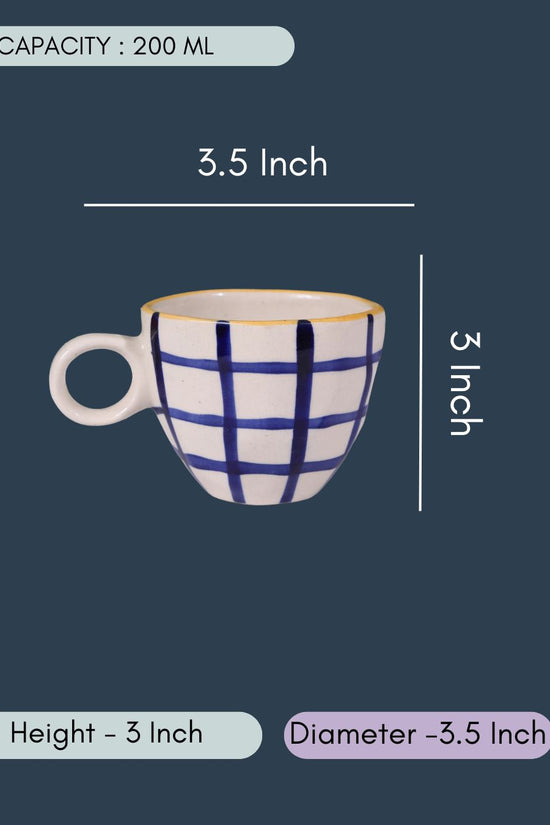 Blue Checks Mug - Damaged