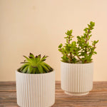 ribbed white planter handmade in india 