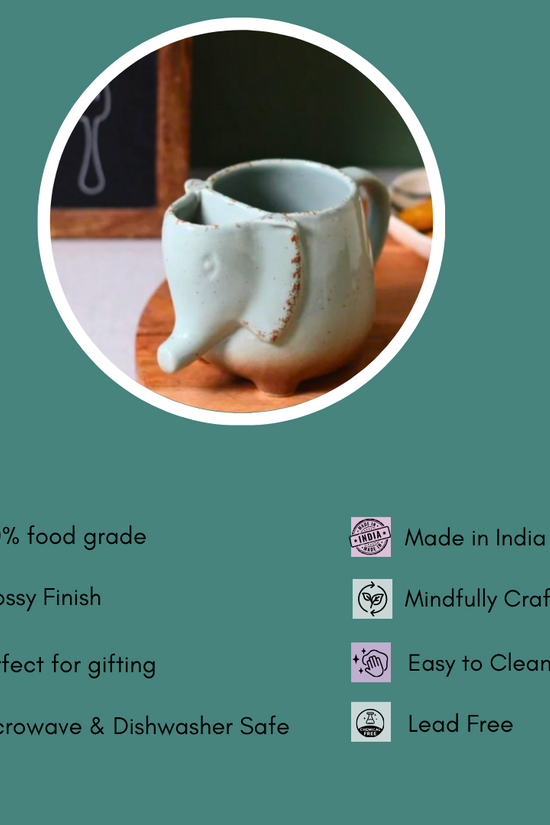 ele mug with full details 