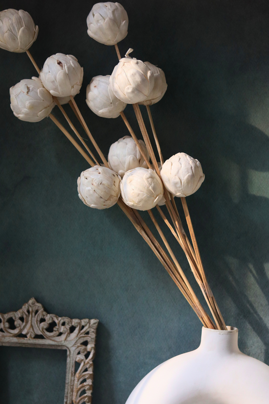 Dried White Ball Flower Bunch