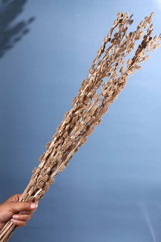 Dried litchi decorative bunch in hand
