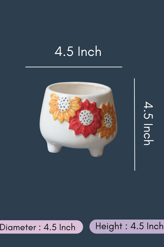 Floral Bliss Planter with size & fit