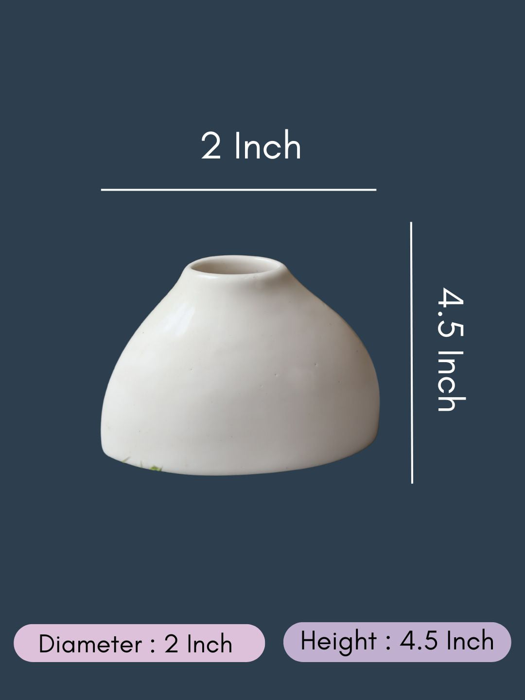 Chic minimal vase with size & fit