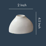 Chic minimal vase with size & fit