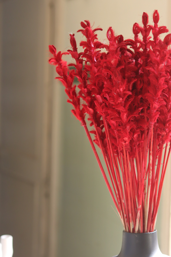 Red flower dried bunch in vase