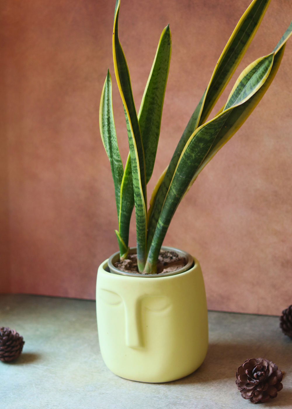 Yellow Nordic Face Planter With Plant