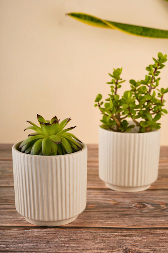 ribbed white planter handmade in india