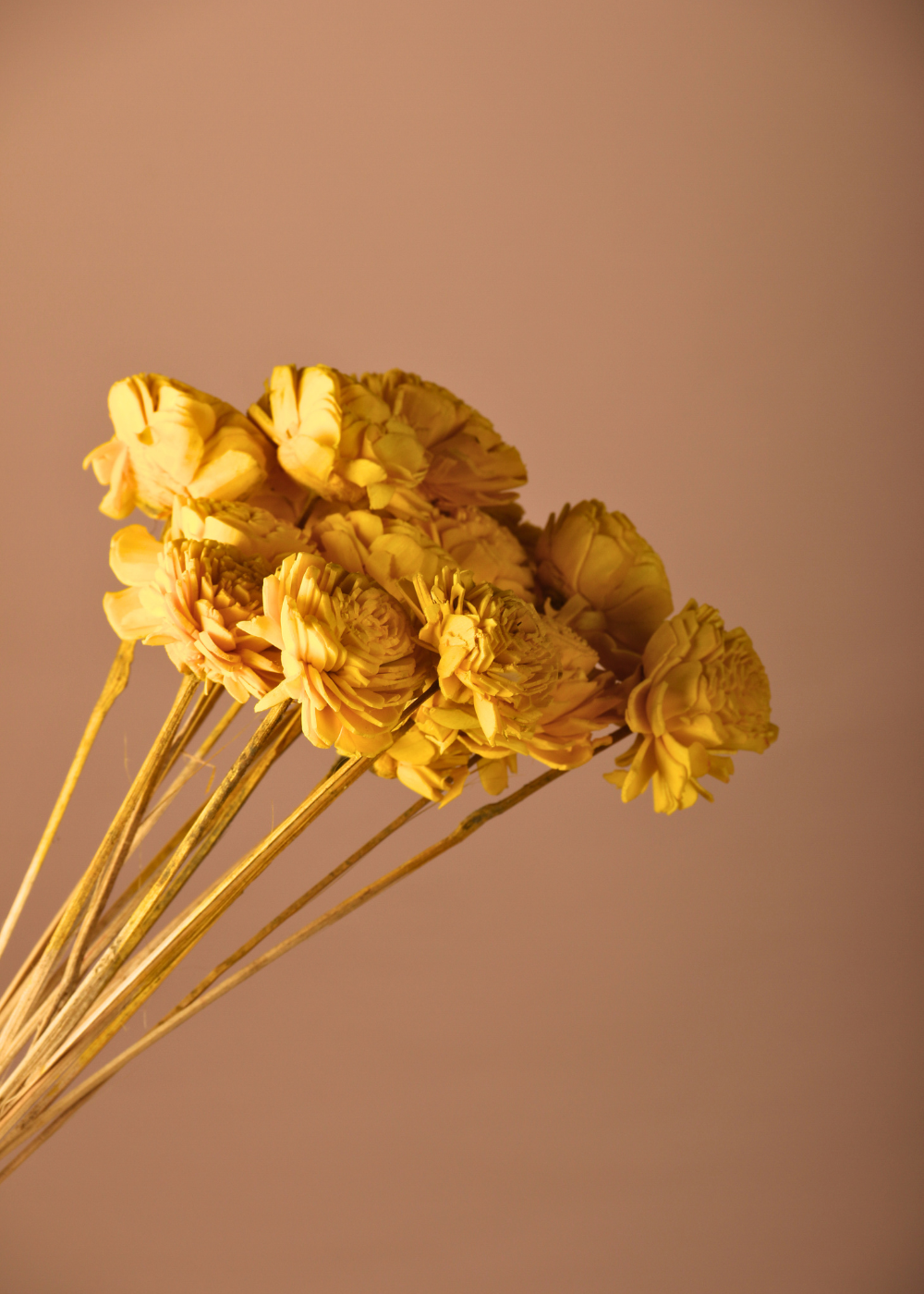 Dried yellow ochre roses bouquet