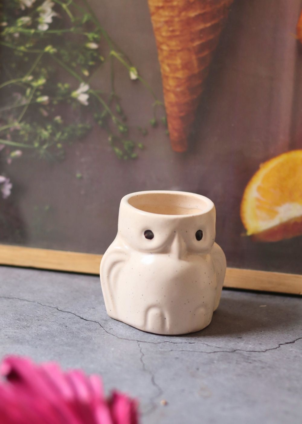 owl planter with premium quality material